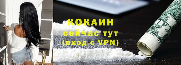 крисы Верея