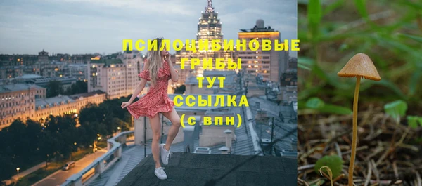 крисы Верея